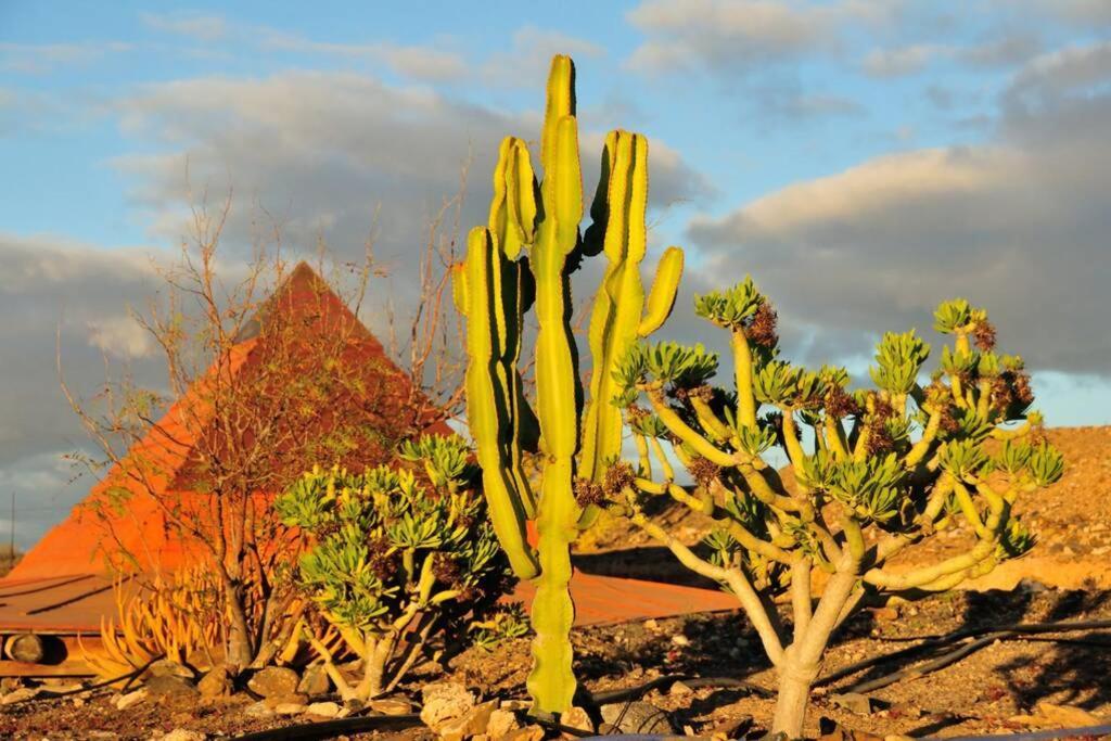 Tranquila Tierra - Eco Retreat Finca Artis Tirma تاراخاليخو المظهر الخارجي الصورة