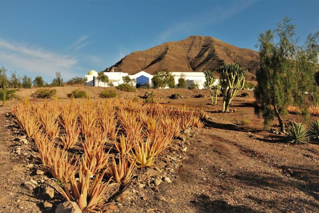 Tranquila Tierra - Eco Retreat Finca Artis Tirma تاراخاليخو المظهر الخارجي الصورة